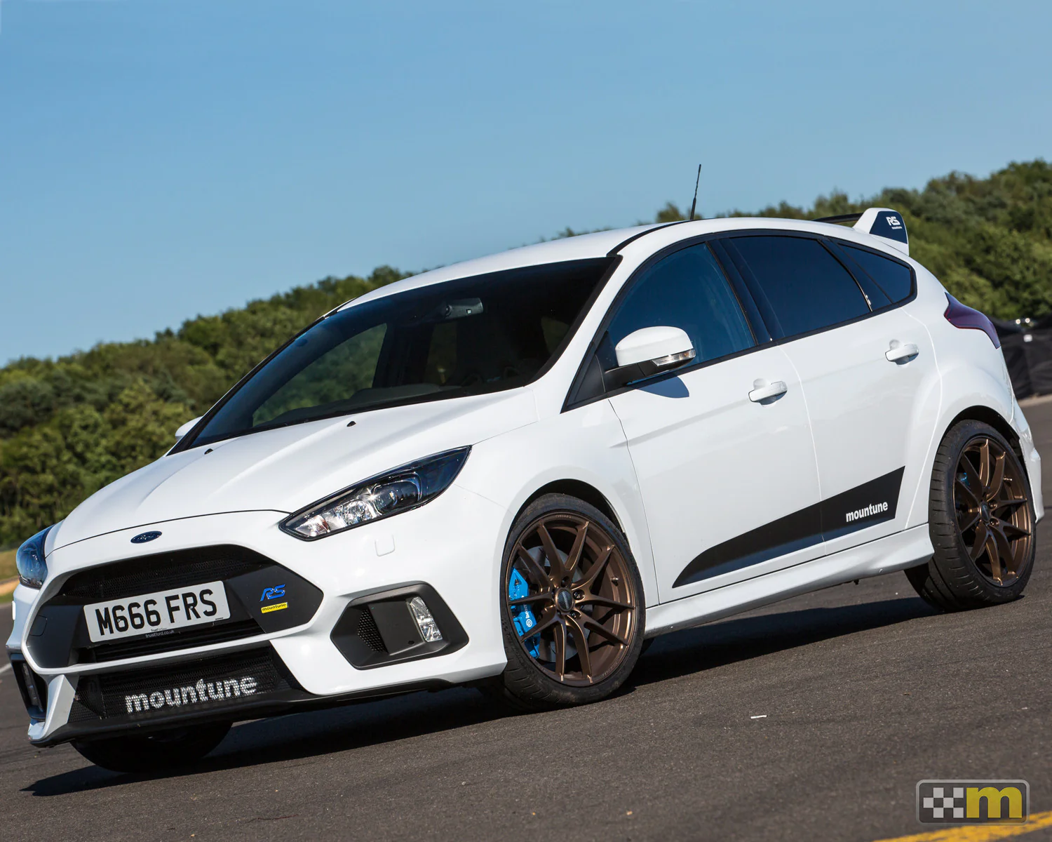 Dynamic Side Splash (black) [Mk3 Focus RS/ST] - Image 3